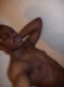 Arbutus Hot Men